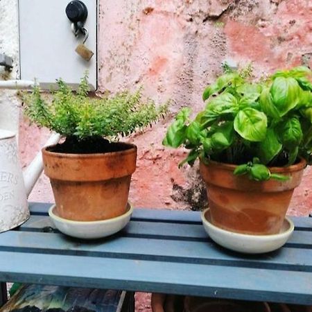 アルビソーラ・スペリオーレ La Casa Di Moヴィラ エクステリア 写真