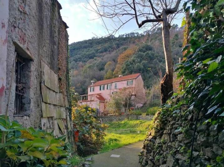 アルビソーラ・スペリオーレ La Casa Di Moヴィラ エクステリア 写真