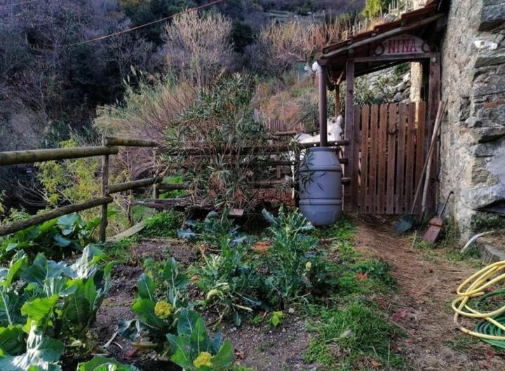 アルビソーラ・スペリオーレ La Casa Di Moヴィラ エクステリア 写真